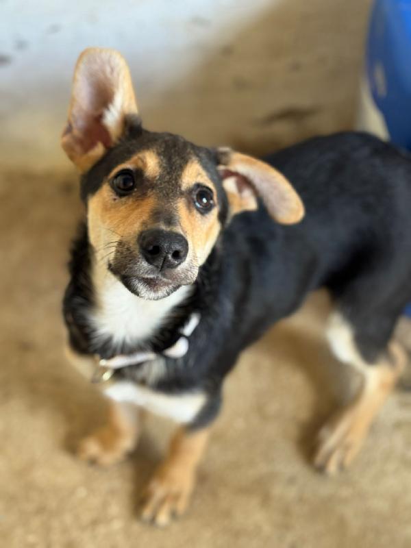 Alex, Paolo & Trilly Foto 8